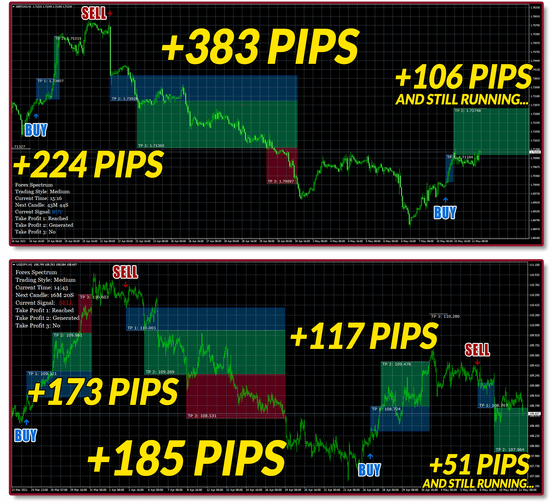 Forex Spectrum